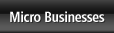 Micro Businesses